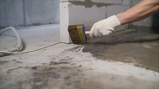 24/7 Emergency Wet Basement Repair experts in Livonia, MI